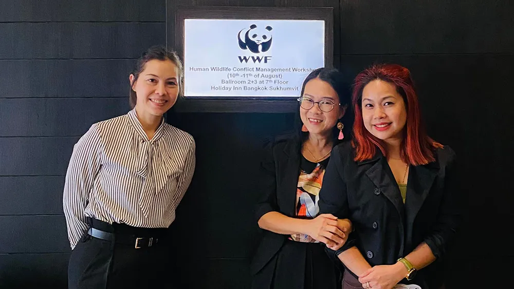 "ล่ามสัตว์ป่า" คุณฮวง: ผู้แปลเนื้อหาเพื่อการอนุรักษ์สัตว์ป่า งานประชุม WWF - Asian Elephant Workshop
